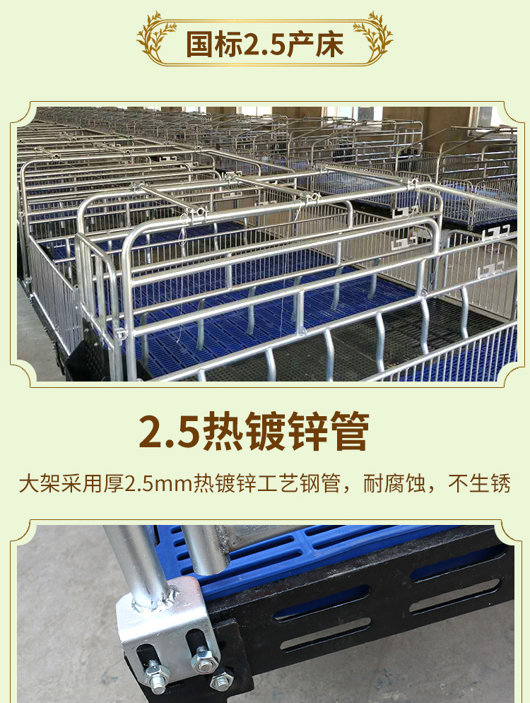 雙體母豬產床