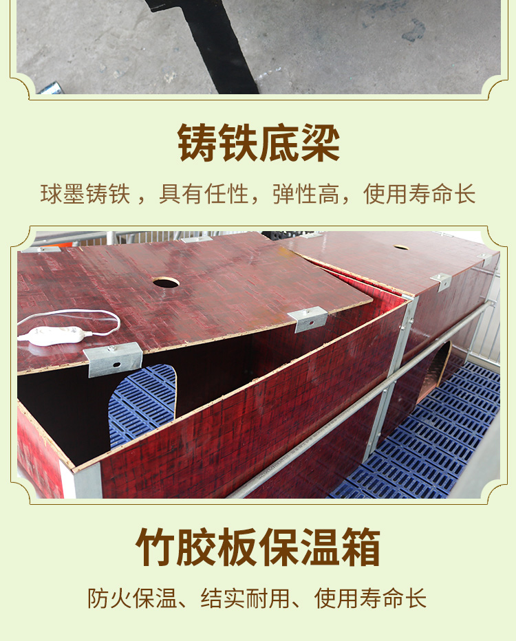 雙體歐式母豬產床