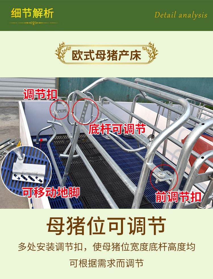 歐式母豬產床