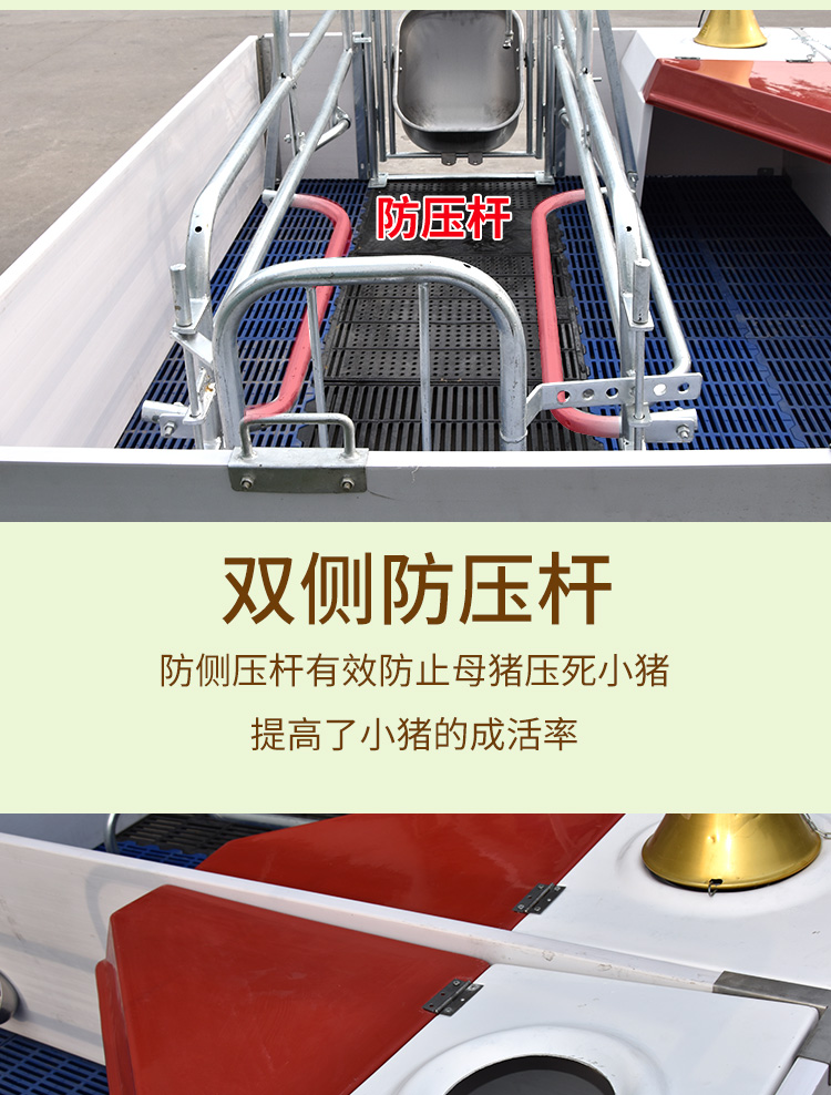 歐式母豬產床