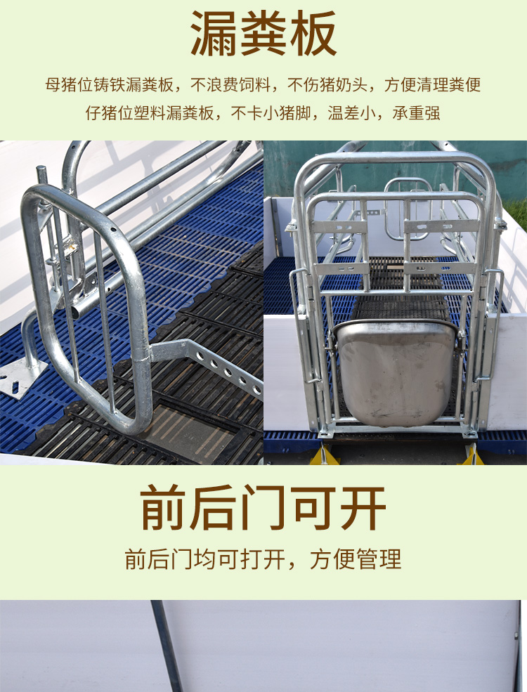 雙體歐式母豬產床
