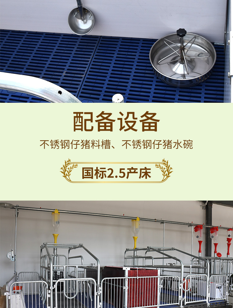 雙體歐式產床