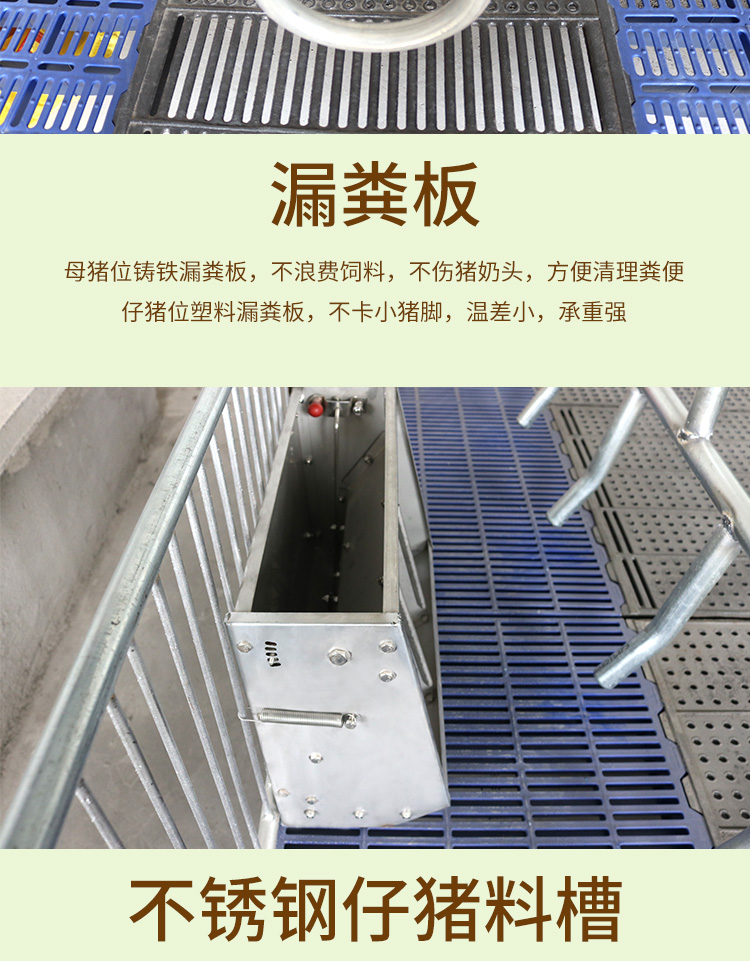雙體歐式母豬產床