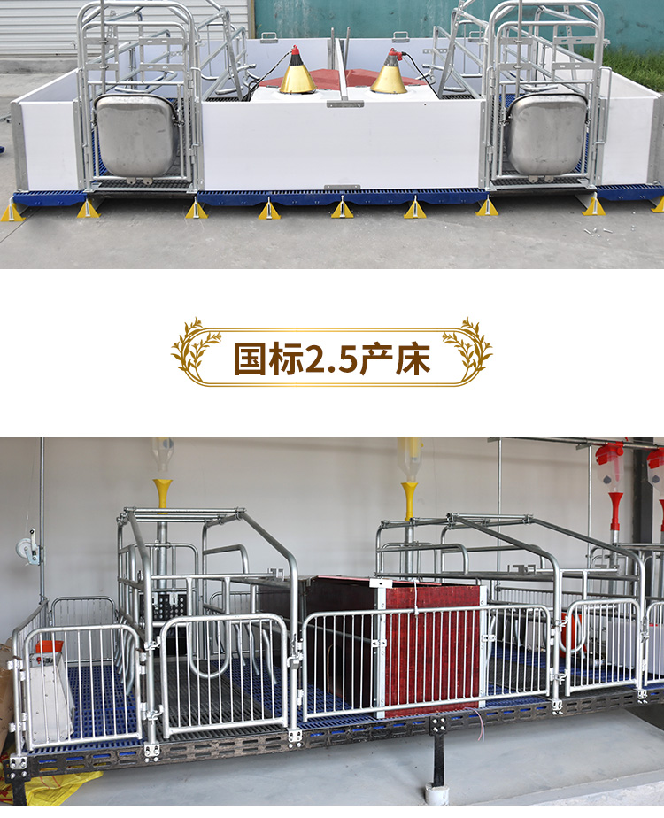 雙體母豬產床