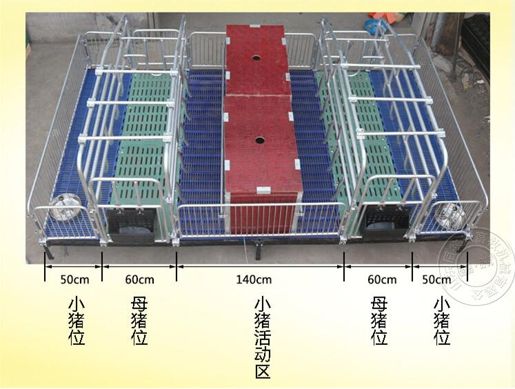 母豬產床