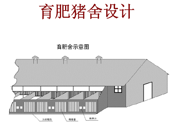 育肥豬舍設計圖