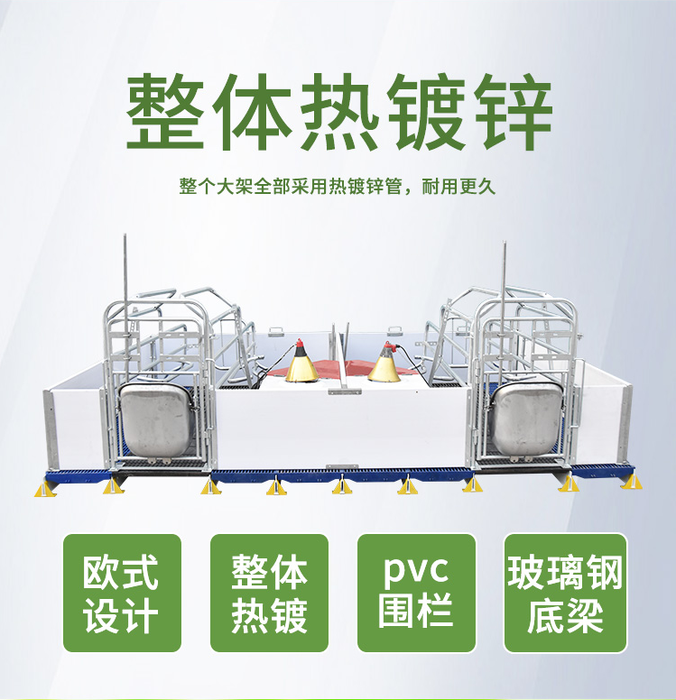 雙體歐式母豬產房