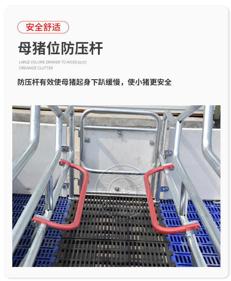 母豬產床