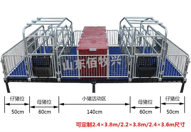 國標2.5熱鍍鋅母豬產床實拍圖