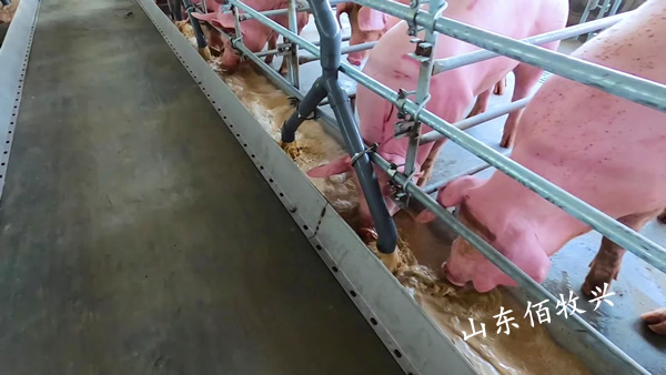 液態飼喂1.jpg